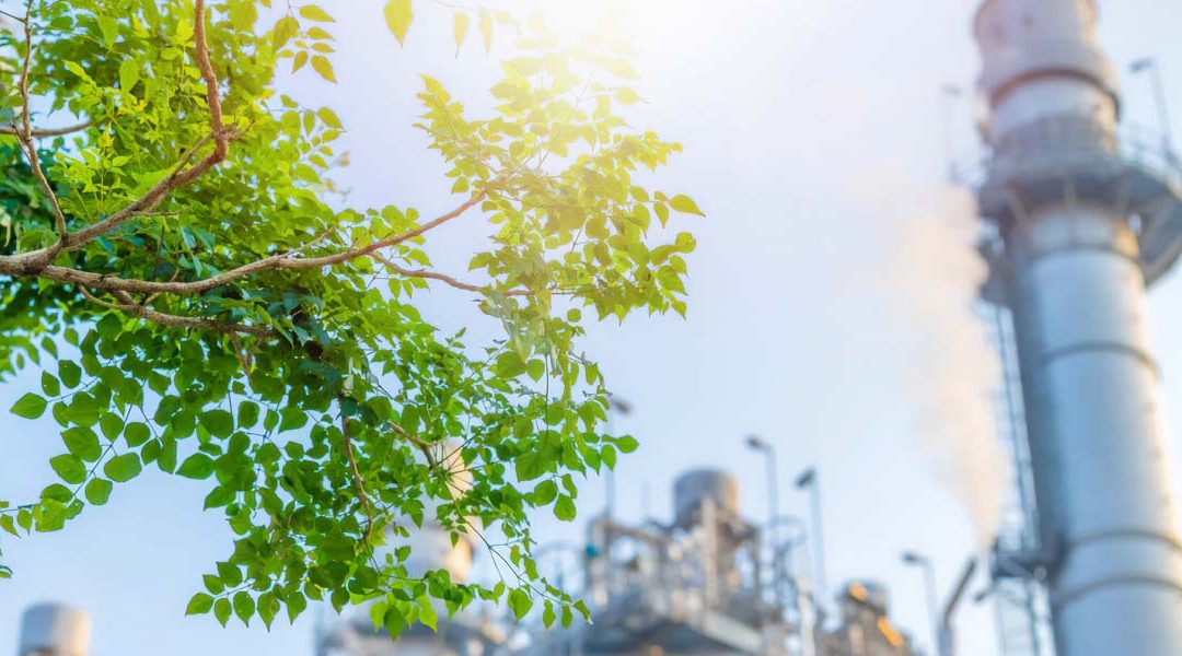 Actualización de inventario de GEIs y huella de carbono del puerto de Valencia.