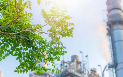 Actualización de inventario de GEIs y huella de carbono del puerto de Valencia.